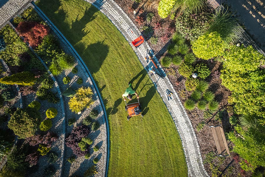 Diseño de jardín desde arriba